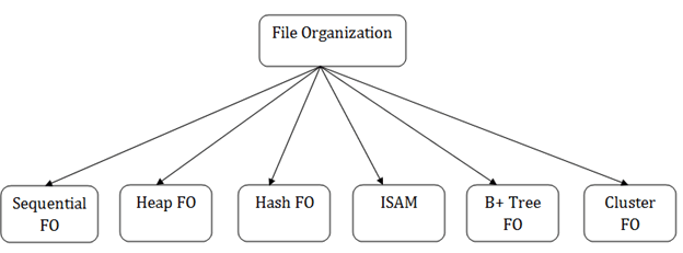 DBMS File Organization