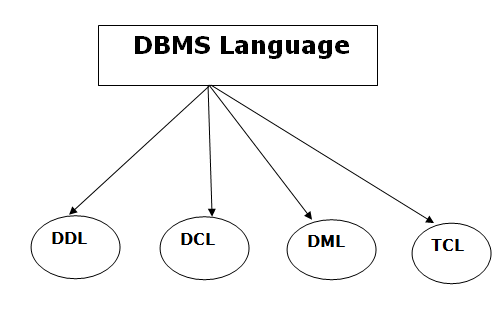 DBMS Language