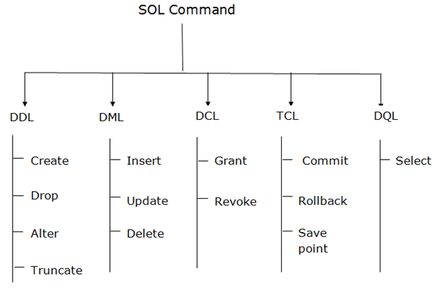 DBMS SQL command