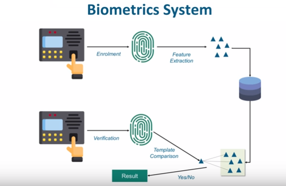 Internet of Things (IoT) in Biometrics Domain