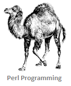 Perl Programming Tutorial