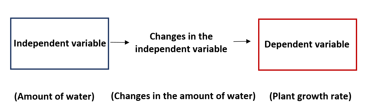 Independent vs. dependent variables
